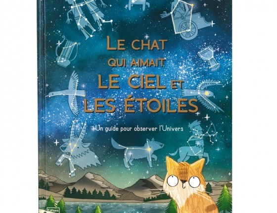 LE CHAT QUI AIMAIT LE CIEL ET LES&nbsp;ETOILES
