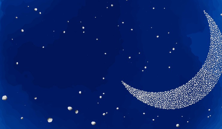 LES NUITS DES&nbsp;ETOILES